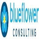 Blueflower Consulting logo